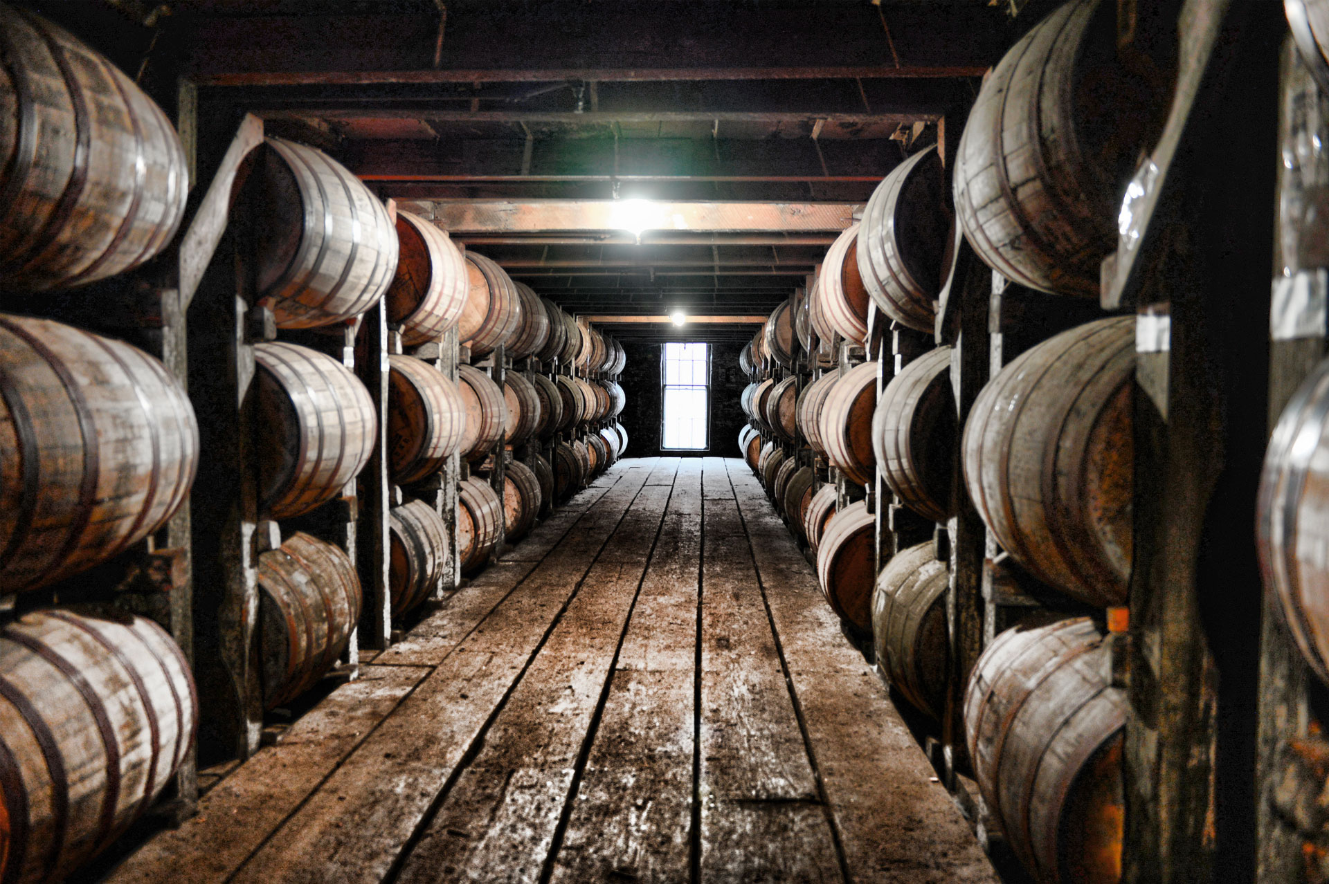 bourbon whiskey tours kentucky