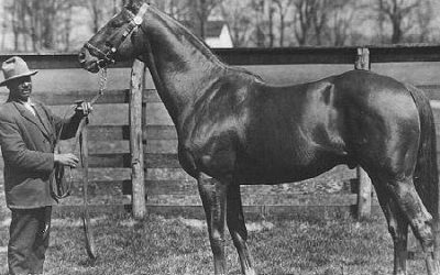Man o’ War: The Greatest Horse That Never Ran the Kentucky Derby