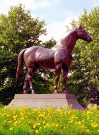 Man o' War Monument 2017 Horse Park