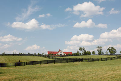 Godolphin at Jonabell Farm is part of some best of Kentucky experiences