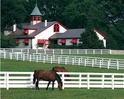 Stunning Kentucky Horse Farms