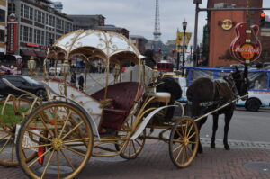 romantic horse-drawn carriage ride in Nashville
