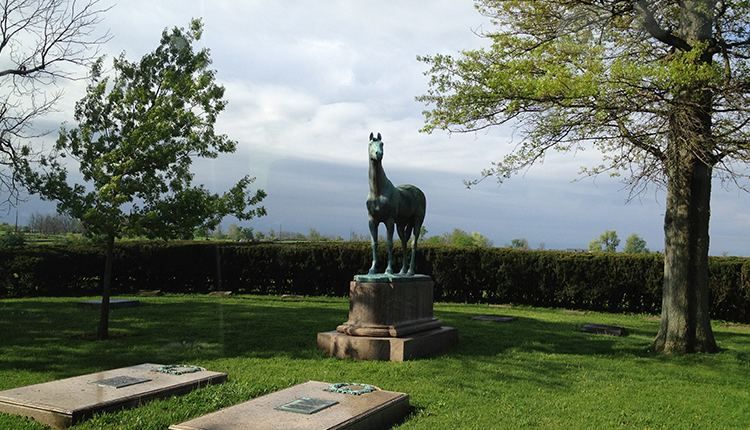 Horse Statue on Claiborn Horse Farm Tour with Mint Julep Experiences