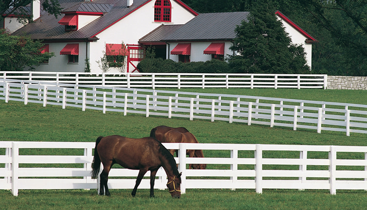 private horse farm visits during derby week
