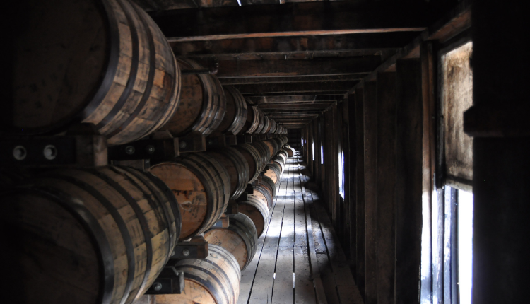 room filled with barrels of bourbon