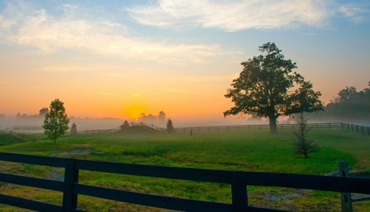 Full Guide to Things To Do in Lexington, KY