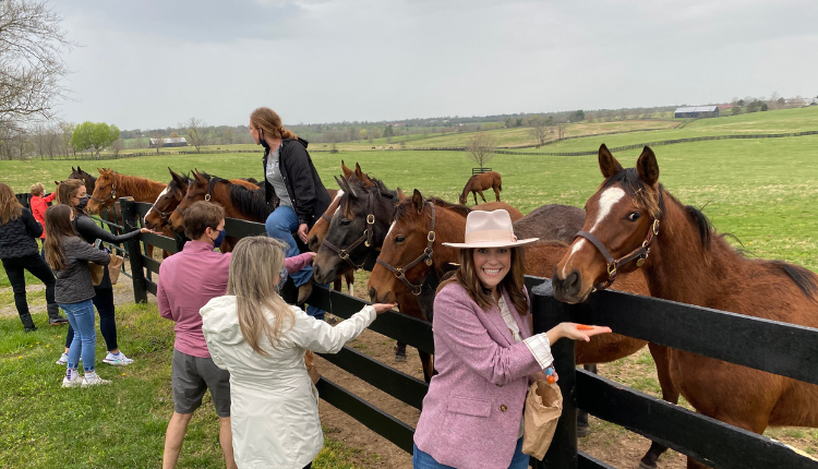 group feeding horses on guided kentucky horse country and horse farm tour