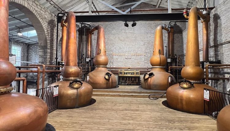 room of copper pot stills at distillery